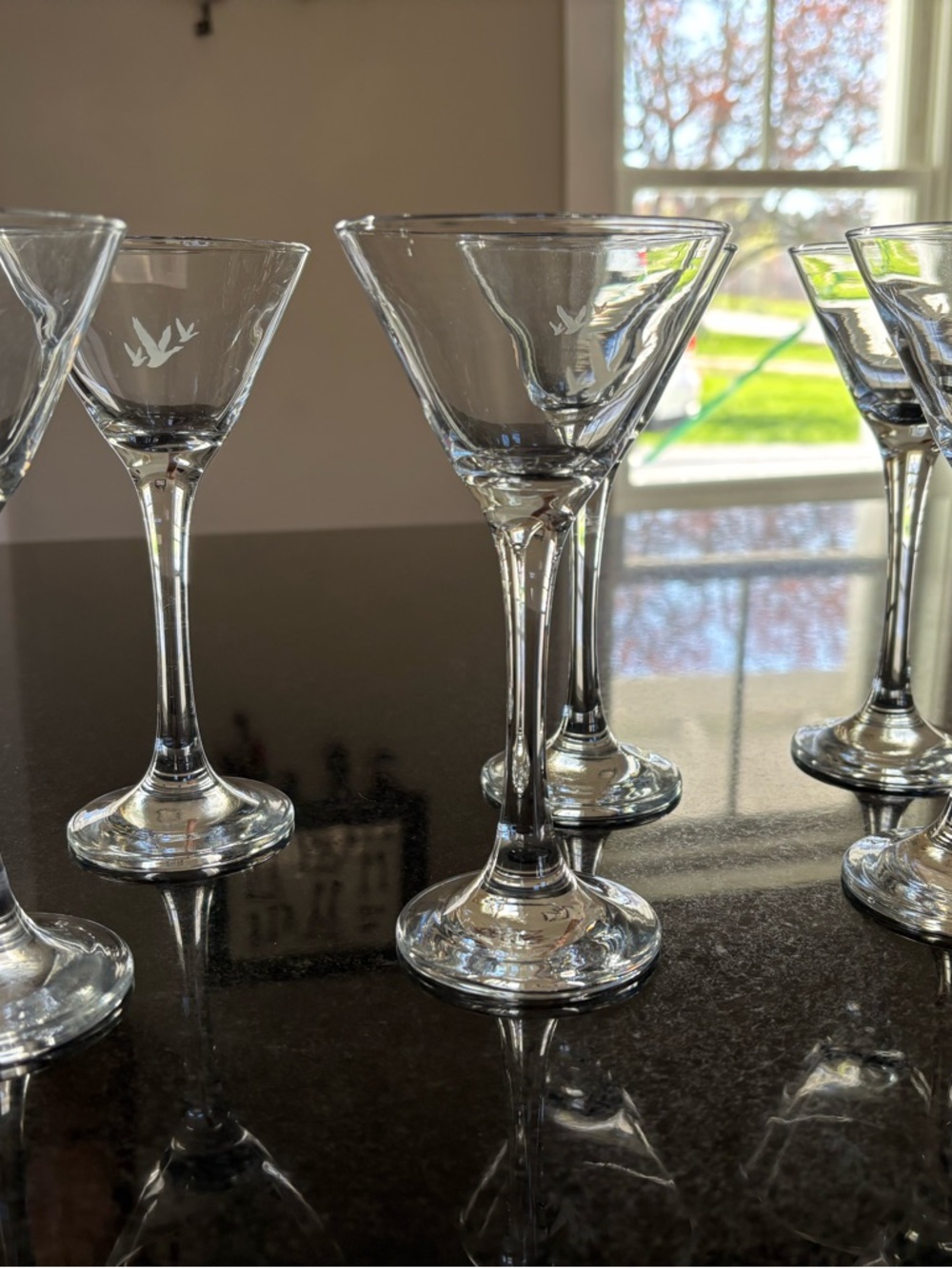 Clear Etched Stemmed Cocktail Glasses - Set of Vintage-Style Glasses